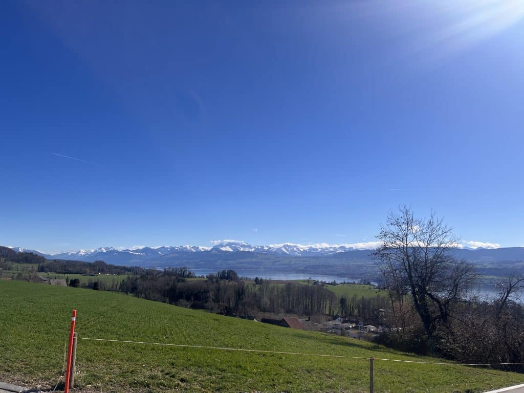 Zürichsee und Alpen im Hintergrund