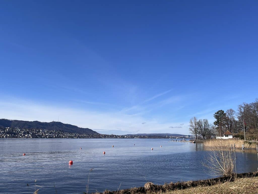Blick auf den Züricher See